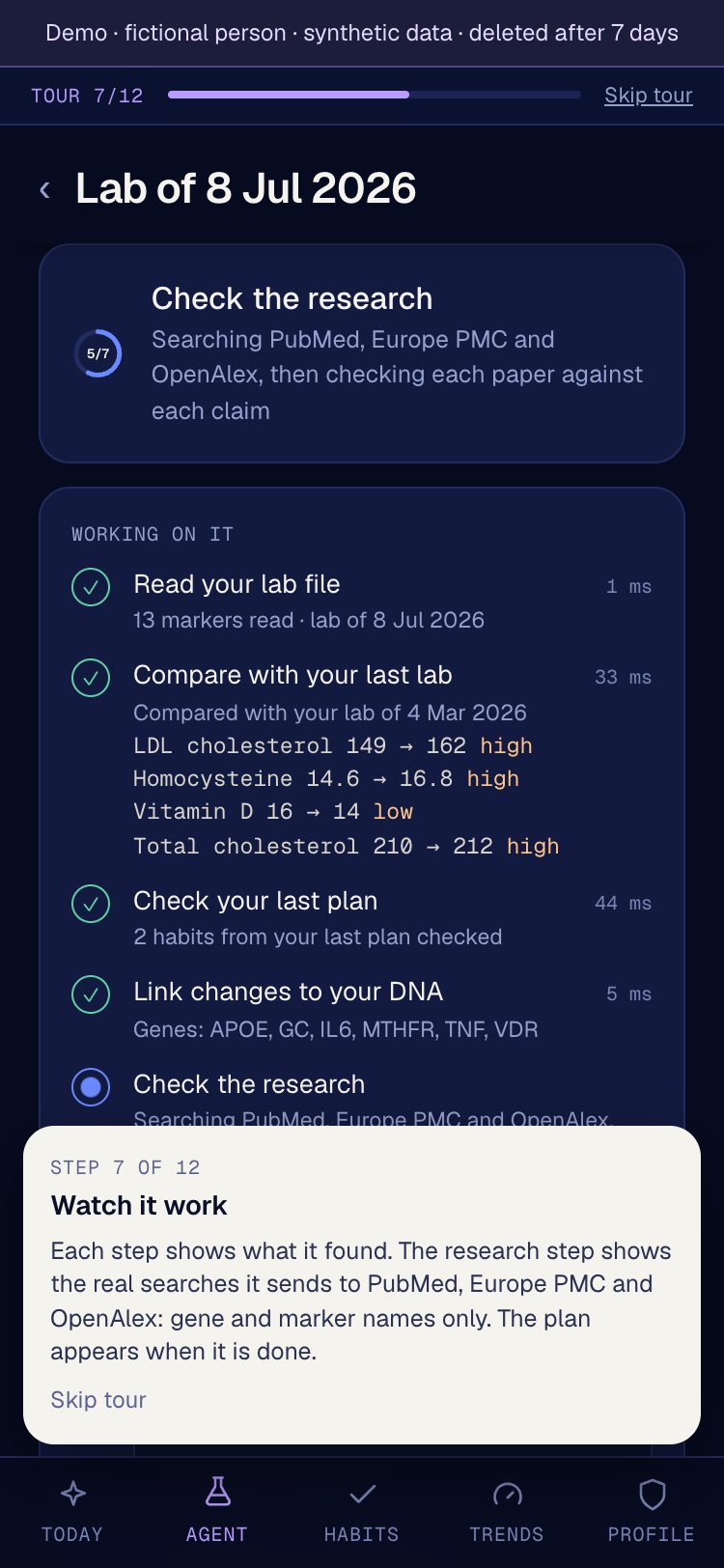 Lab Agent run showing each step